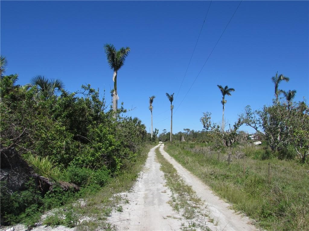 Samadani LN-6