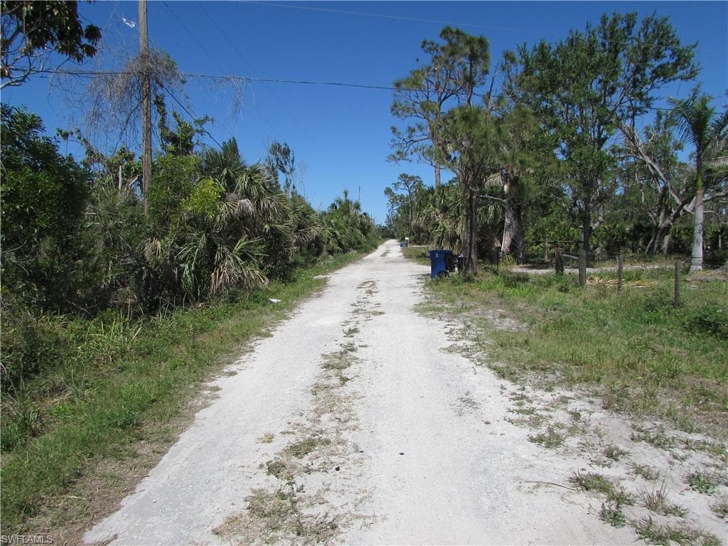 Samadani LN-1