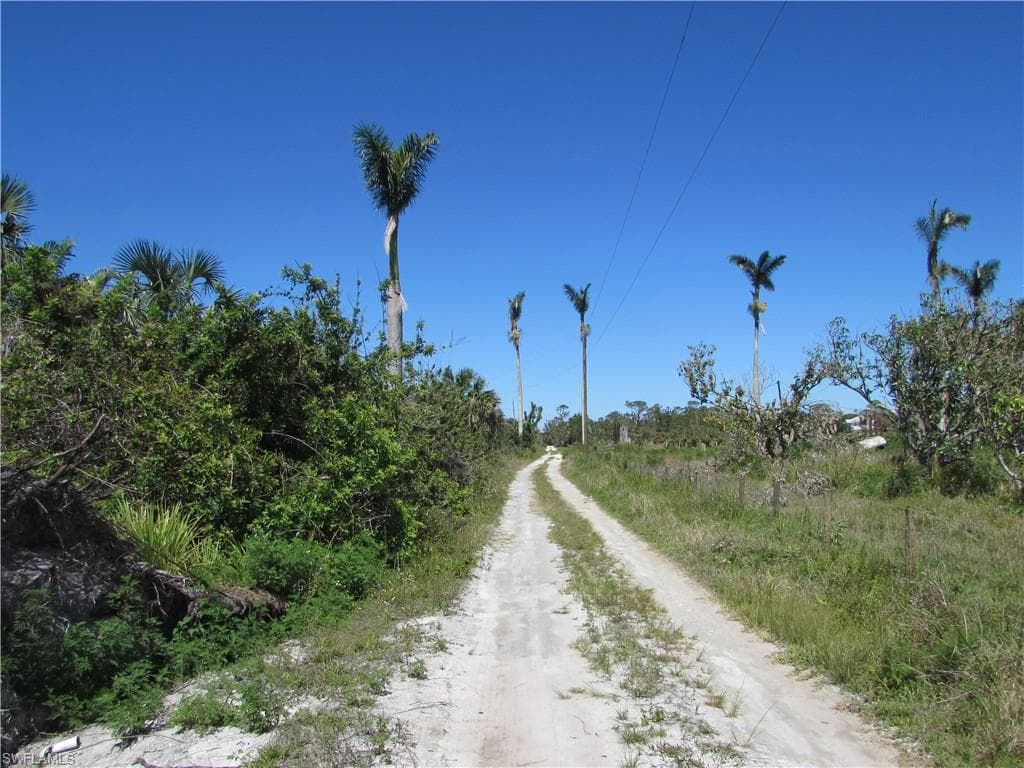 Samadani LN-5