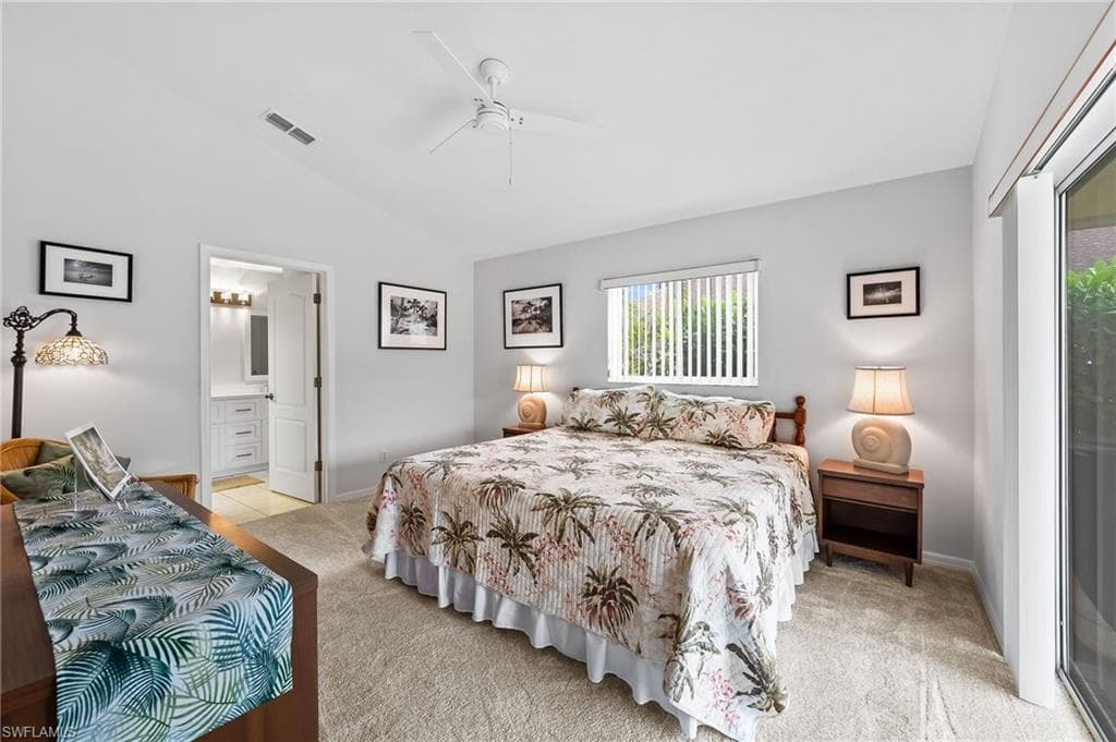 511 Ibis WAY-19