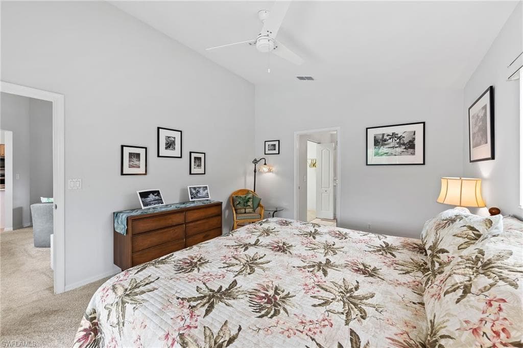 511 Ibis WAY-21