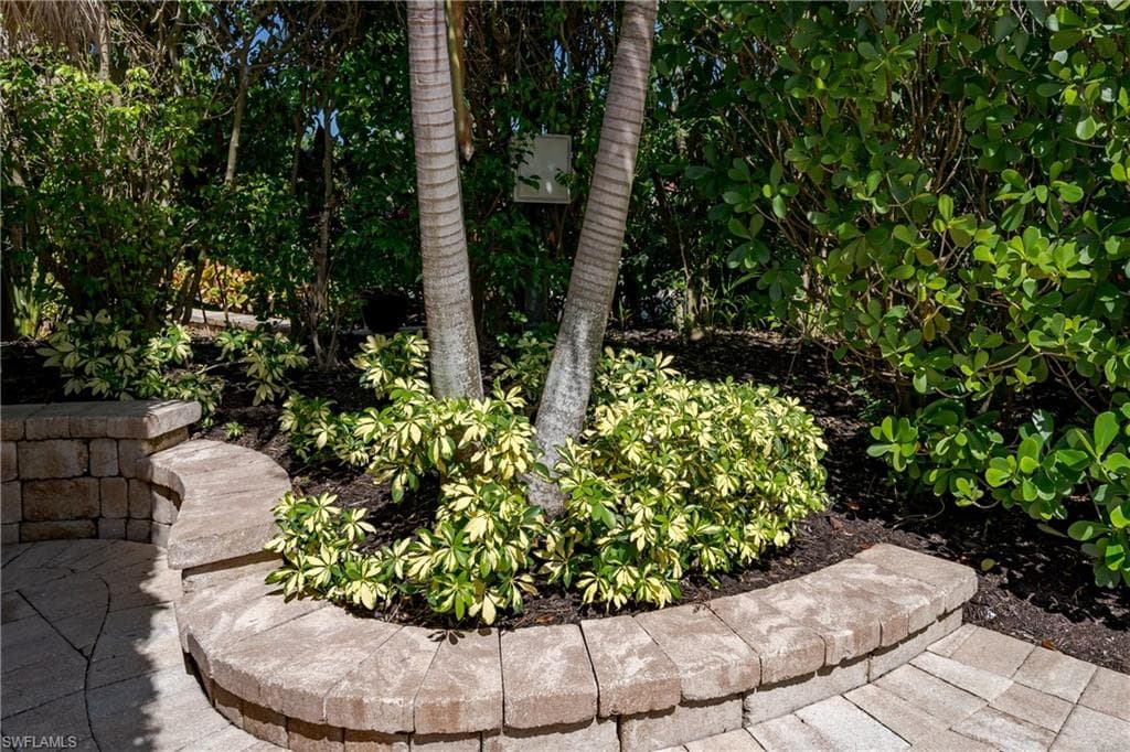 13596 Snook CIR-26