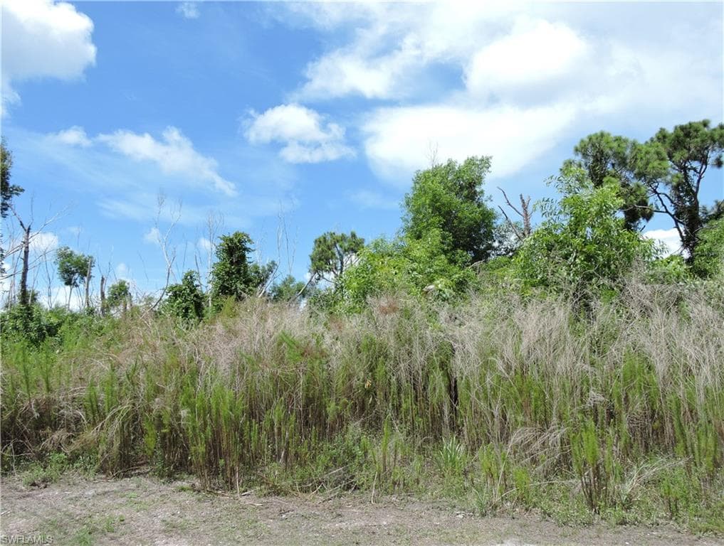 11801 Oscoda CT-2