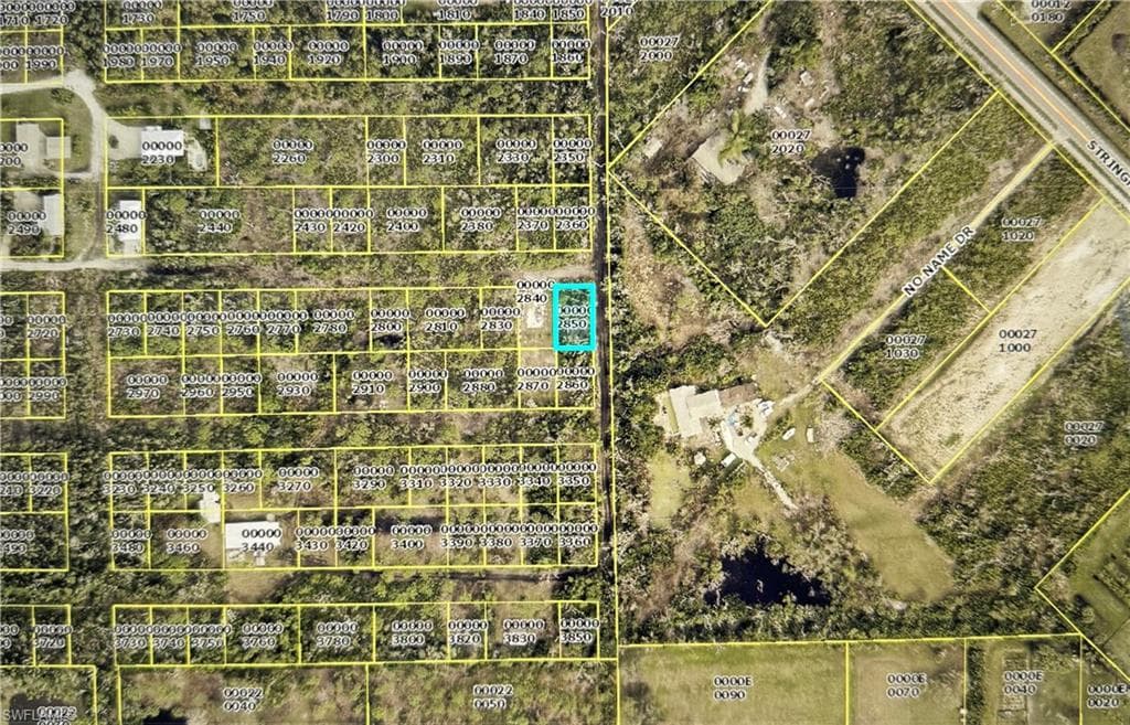 7001 Guava AVE-2