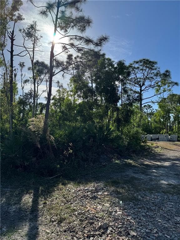 7001 Guava AVE-9