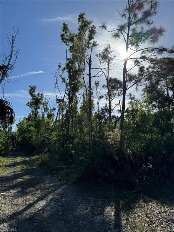 7001 Guava AVE-10