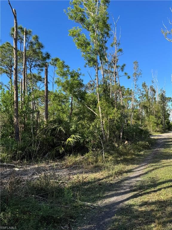7001 Guava AVE-11