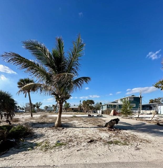 111 Hibiscus DR-4