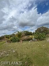 17181 Katydid LN-13