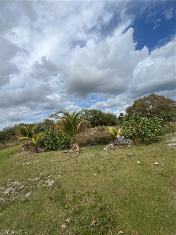 17181 Katydid LN-10
