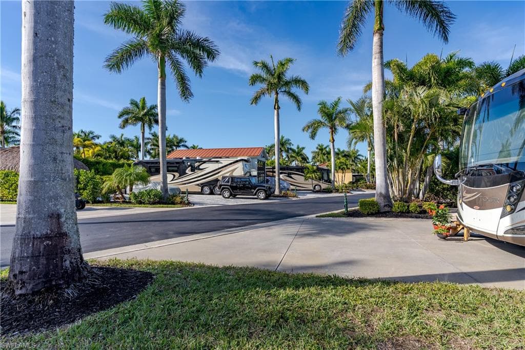 13606 Snapper LN-25