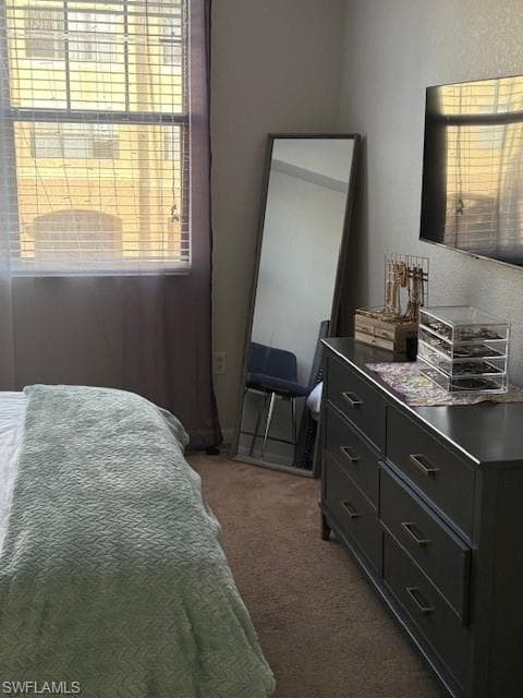 12936 Violino LN 203-12