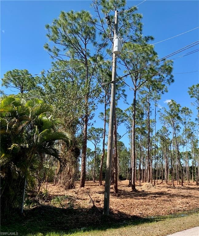 24032 Golden Eagle LN-1