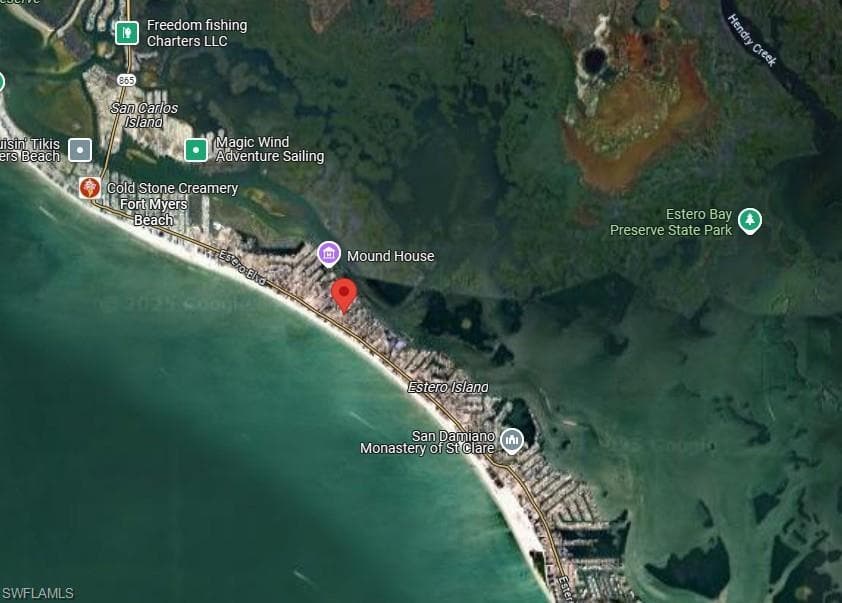 156 Hibiscus DR-1