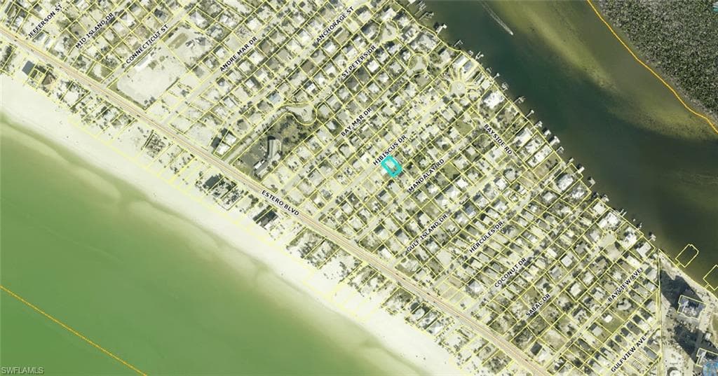 156 Hibiscus DR-5