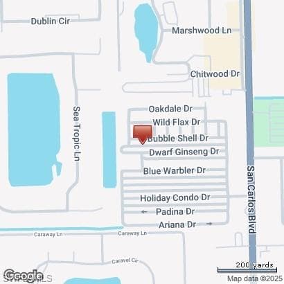 11741 Bubble Shell DR-10