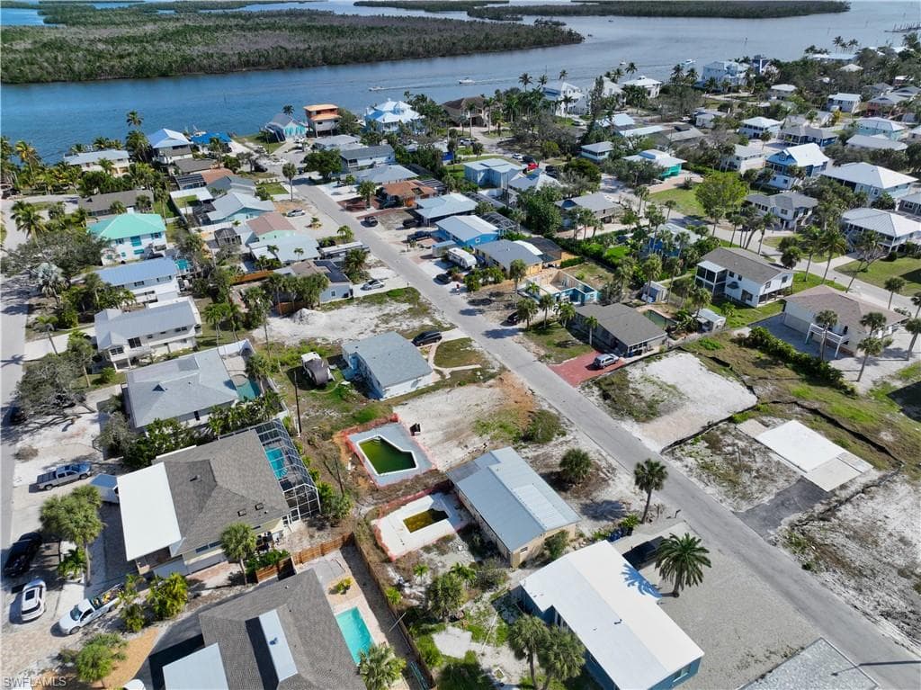 161 Hibiscus DR-3