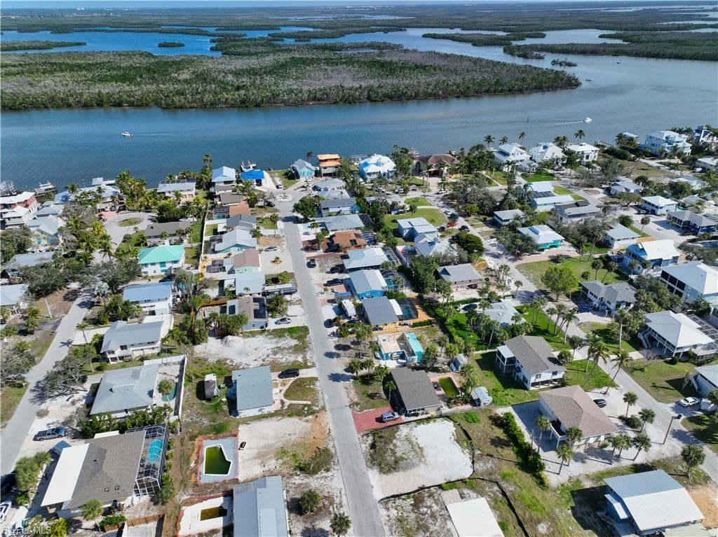 161 Hibiscus DR-29