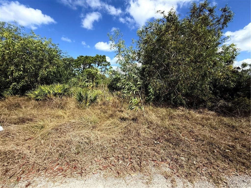 5950 Sandal LN-6