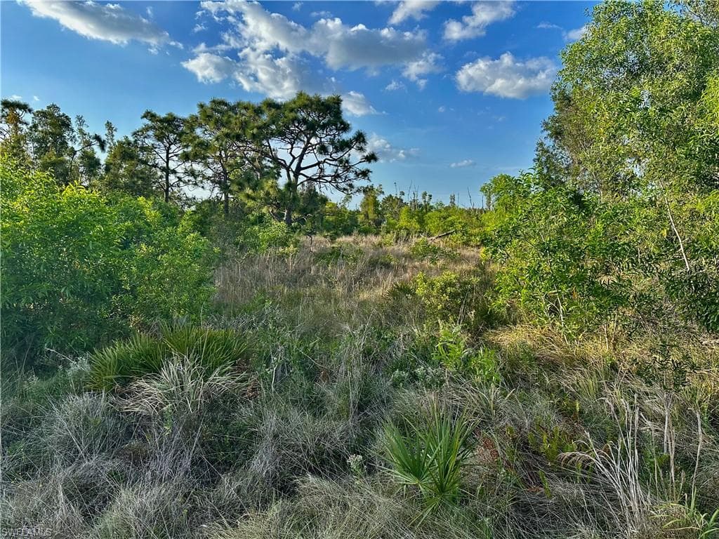 5950 Sandal LN-1