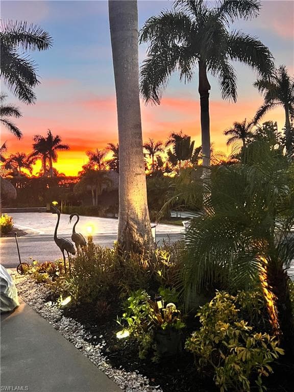 13575 Snook CIR-11