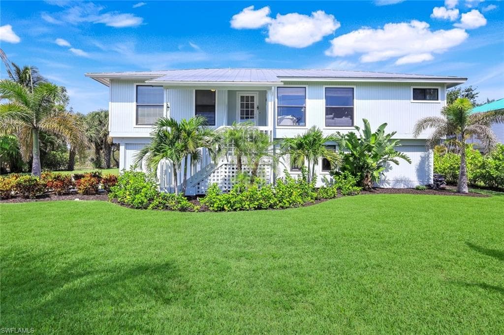 647 Rabbit RD-31