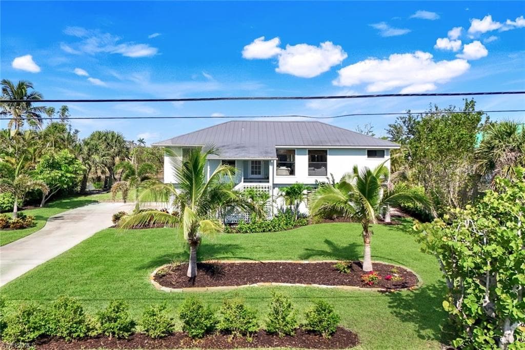647 Rabbit RD-4