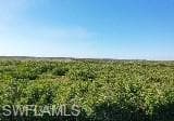 6477 Park RD-4