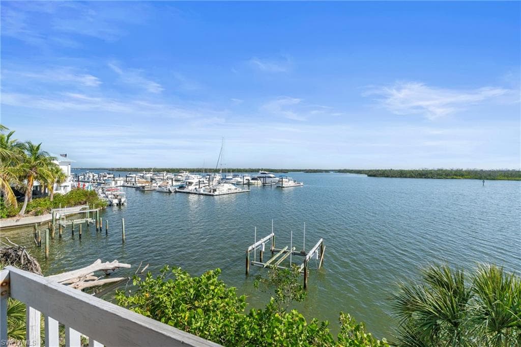 4851 Dolphin LN-5