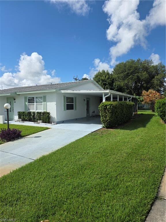 52 Heath Aster LN-2
