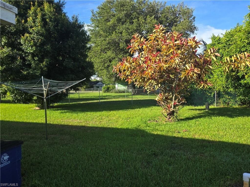 52 Heath Aster LN-36