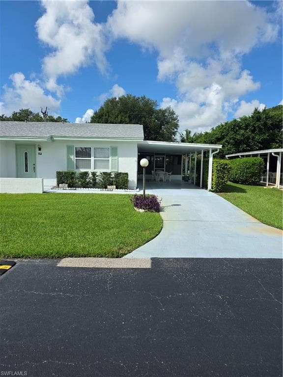 52 Heath Aster LN-1