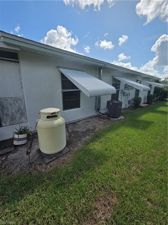 52 Heath Aster LN-28