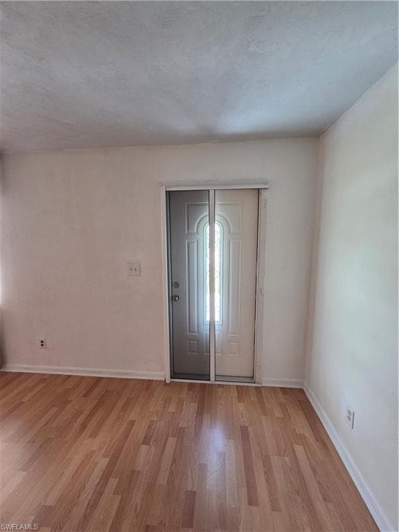 52 Heath Aster LN-9