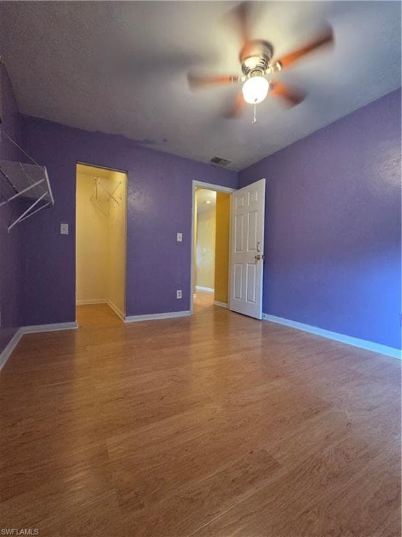 52 Heath Aster LN-15