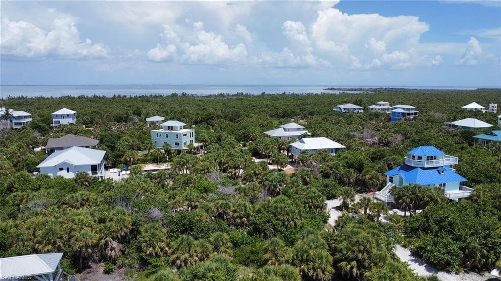 4490 Conch Shell DR-6