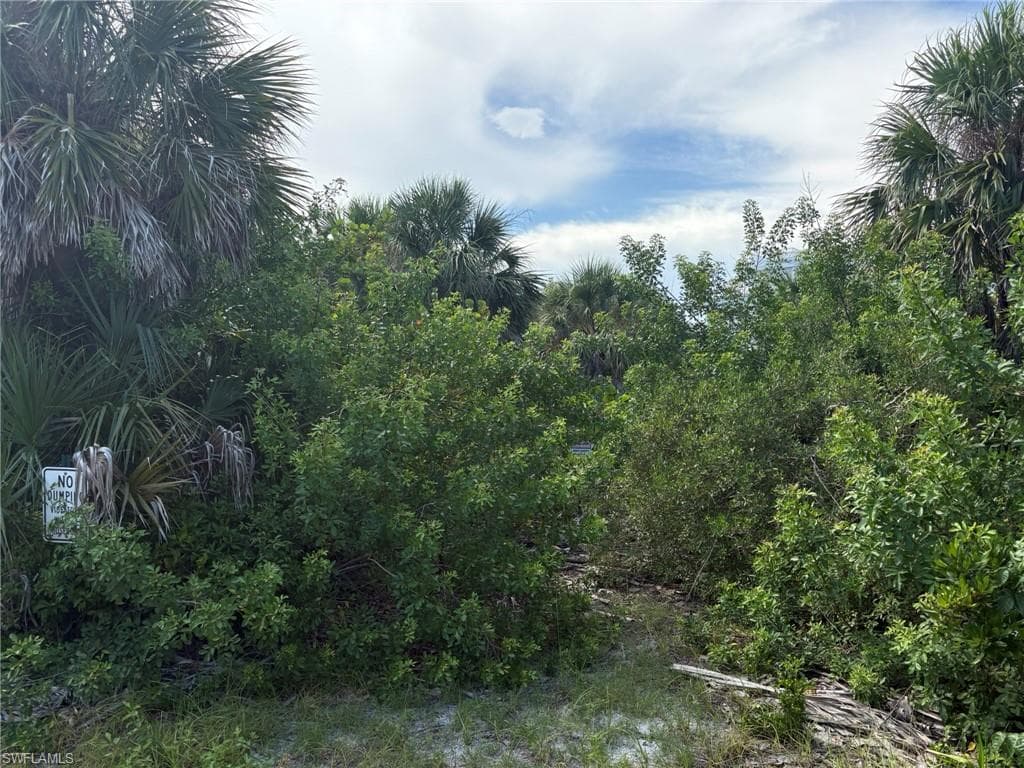 4490 Conch Shell DR-12