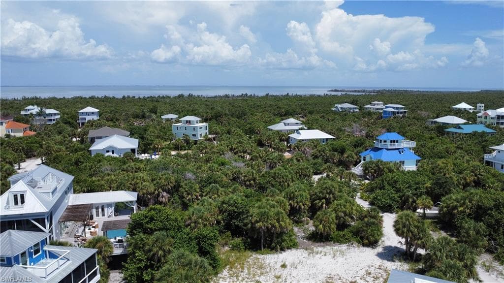 4490 Conch Shell DR-7