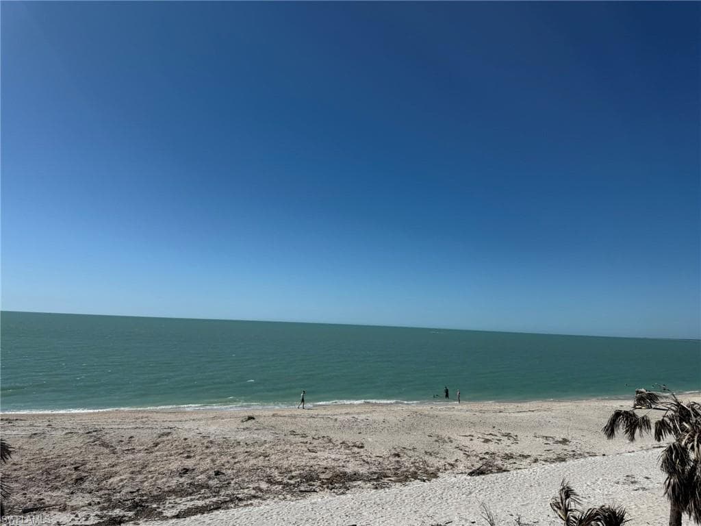4490 Conch Shell DR-32