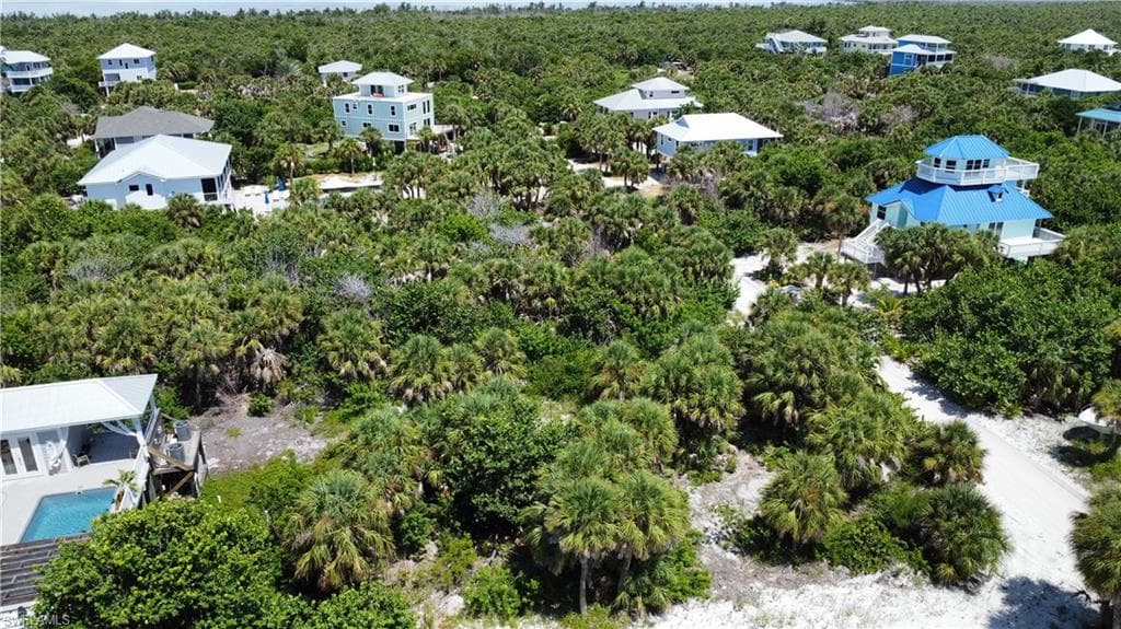 4490 Conch Shell DR-5
