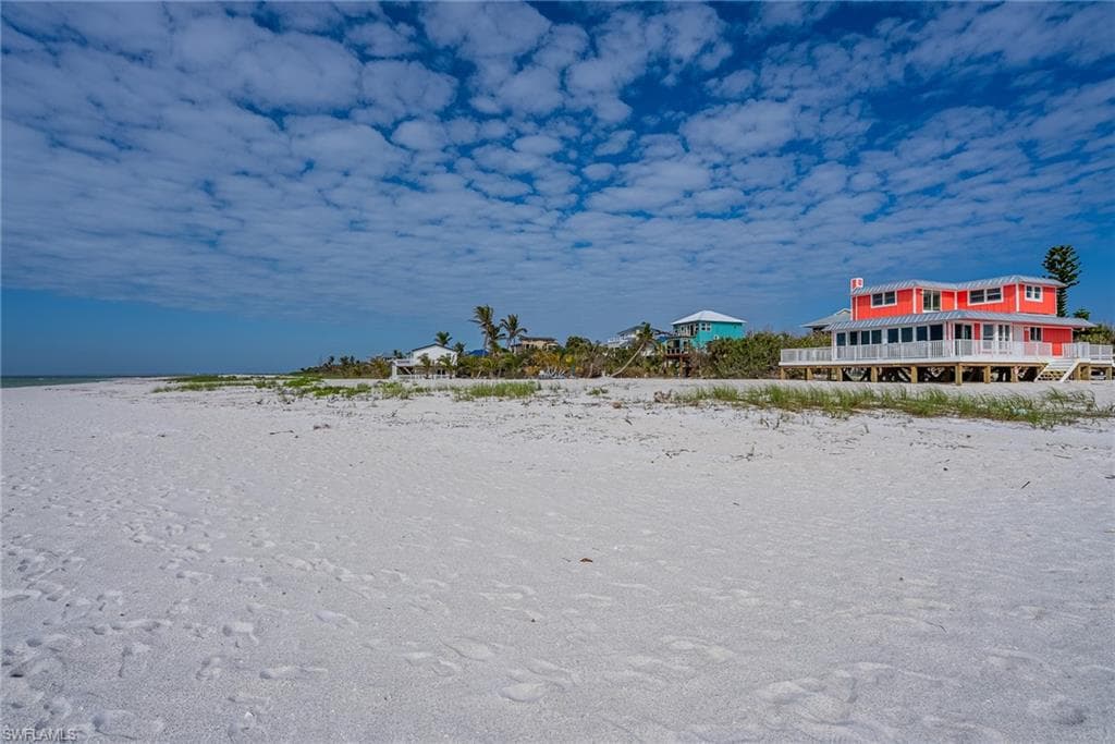 4490 Conch Shell DR-24
