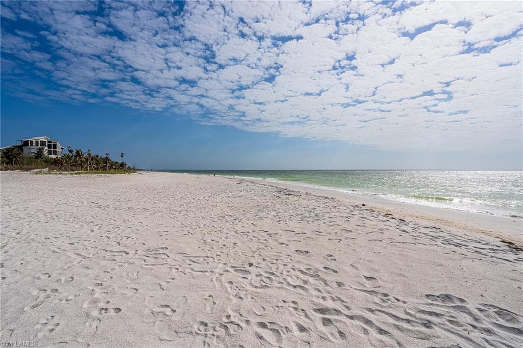 4490 Conch Shell DR-30
