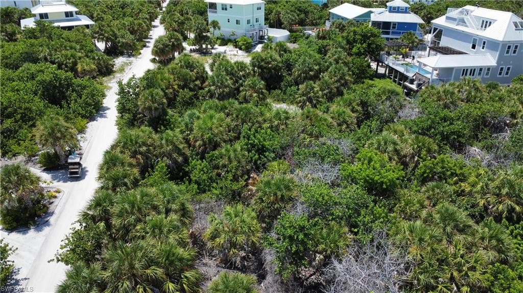 4490 Conch Shell DR-10