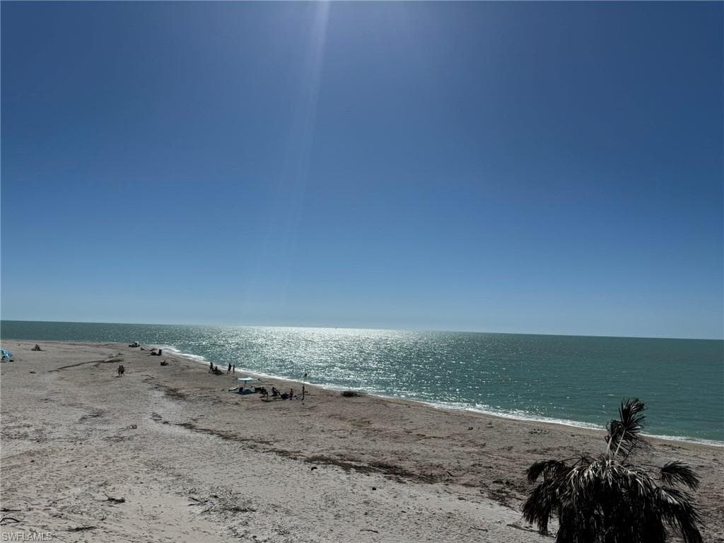 4490 Conch Shell DR-31