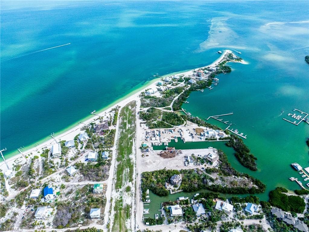 4490 Conch Shell DR-29