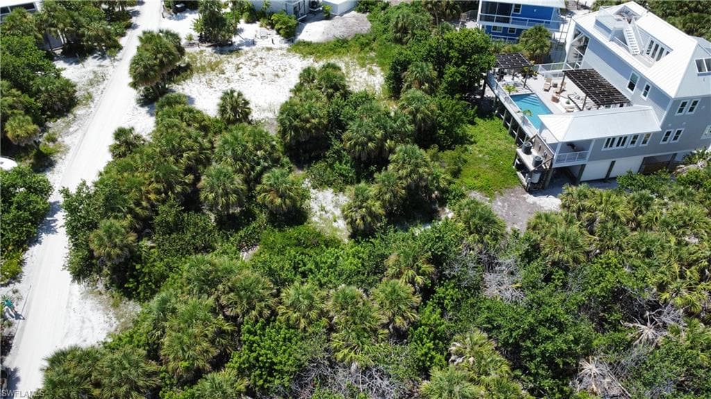 4490 Conch Shell DR-4