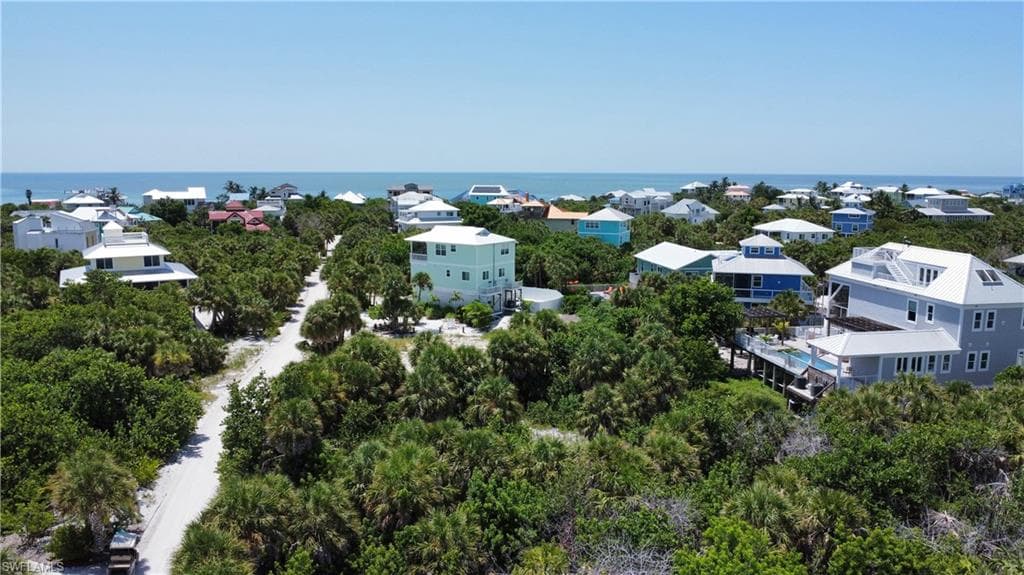 4490 Conch Shell DR-8