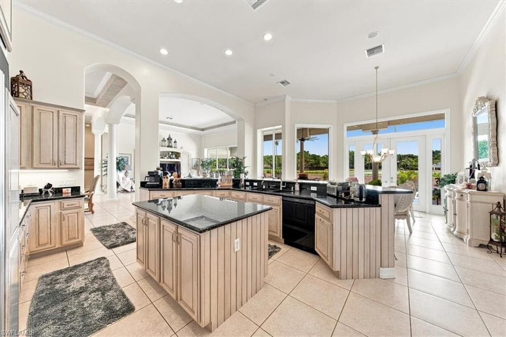 2339 Alexander Palm DR-11