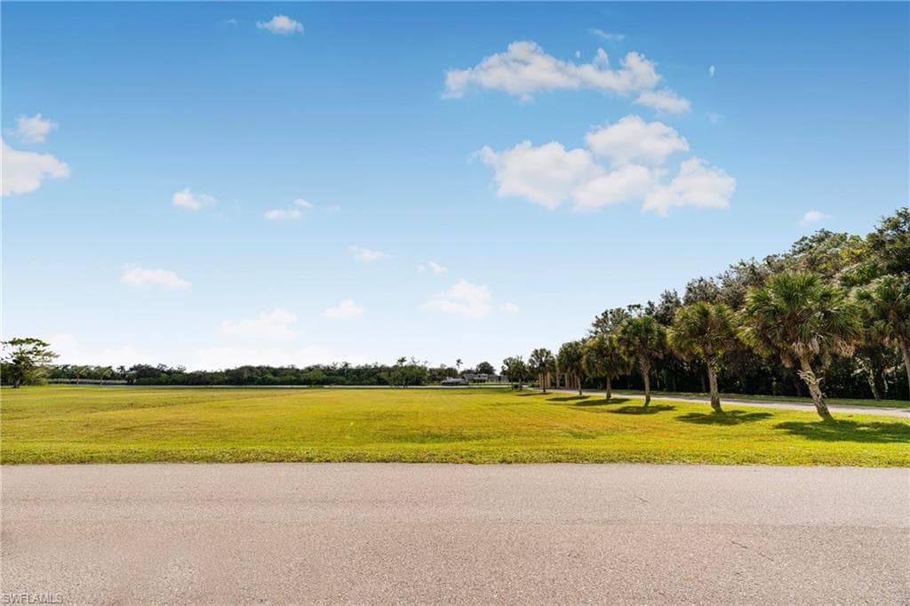 17109 Serengeti CIR-23