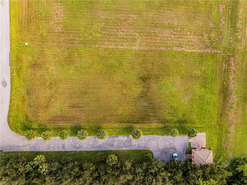 17109 Serengeti CIR-12